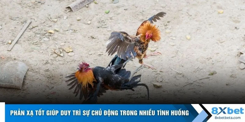  Phản xạ tốt giúp duy trì sự chủ động trong nhiều tình huống 